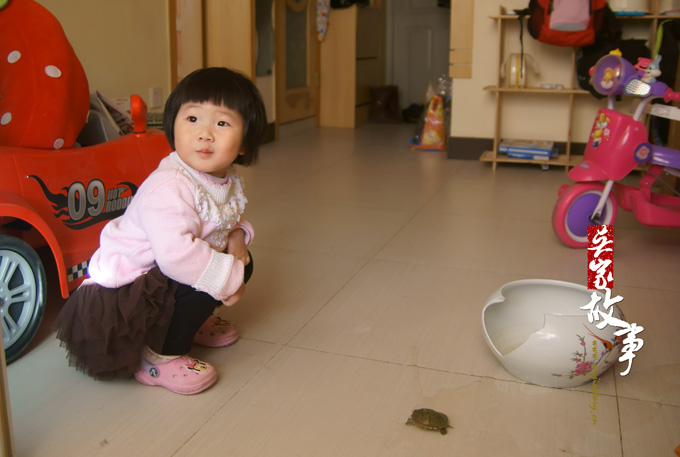 SONY DSC