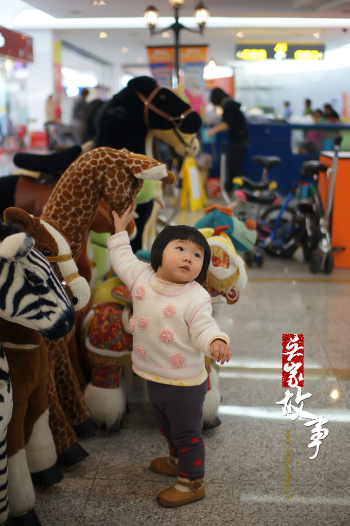 SONY DSC