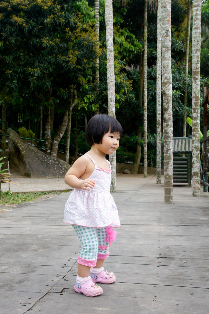 SONY DSC