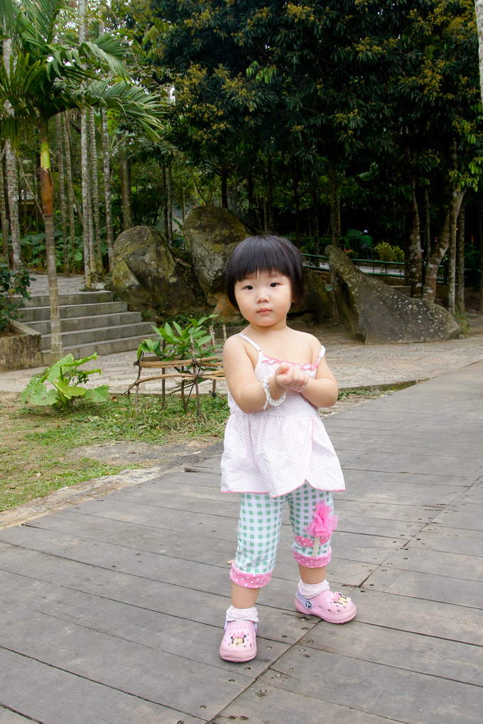 SONY DSC