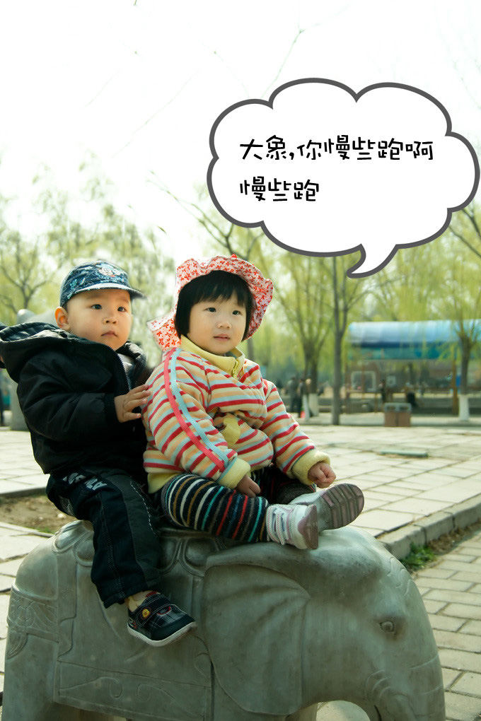 SONY DSC
