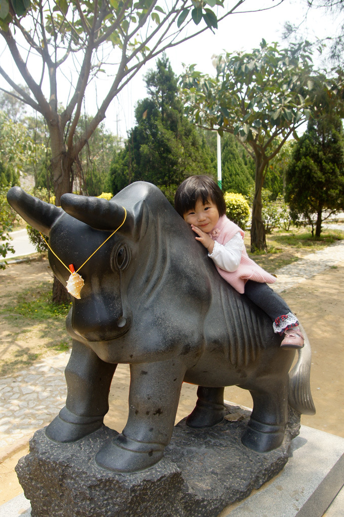 SONY DSC