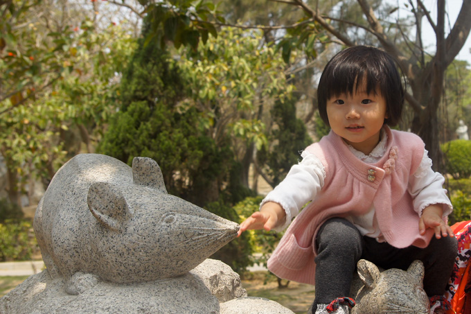 SONY DSC