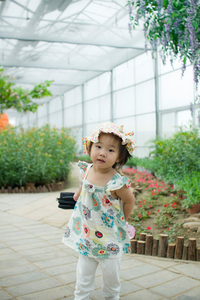SONY DSC