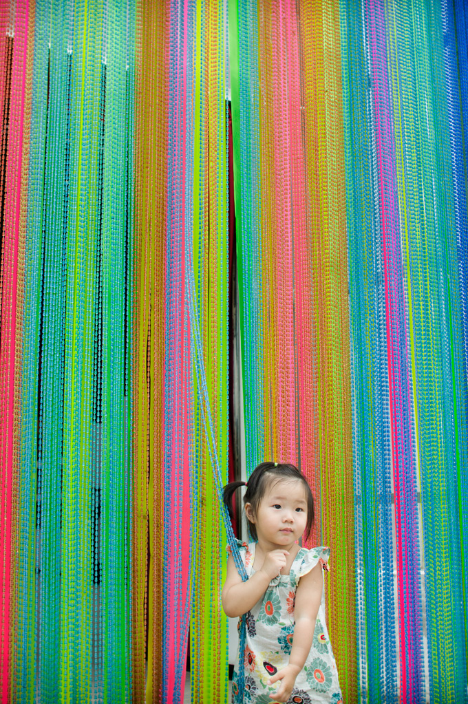 SONY DSC