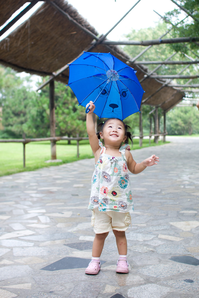 SONY DSC