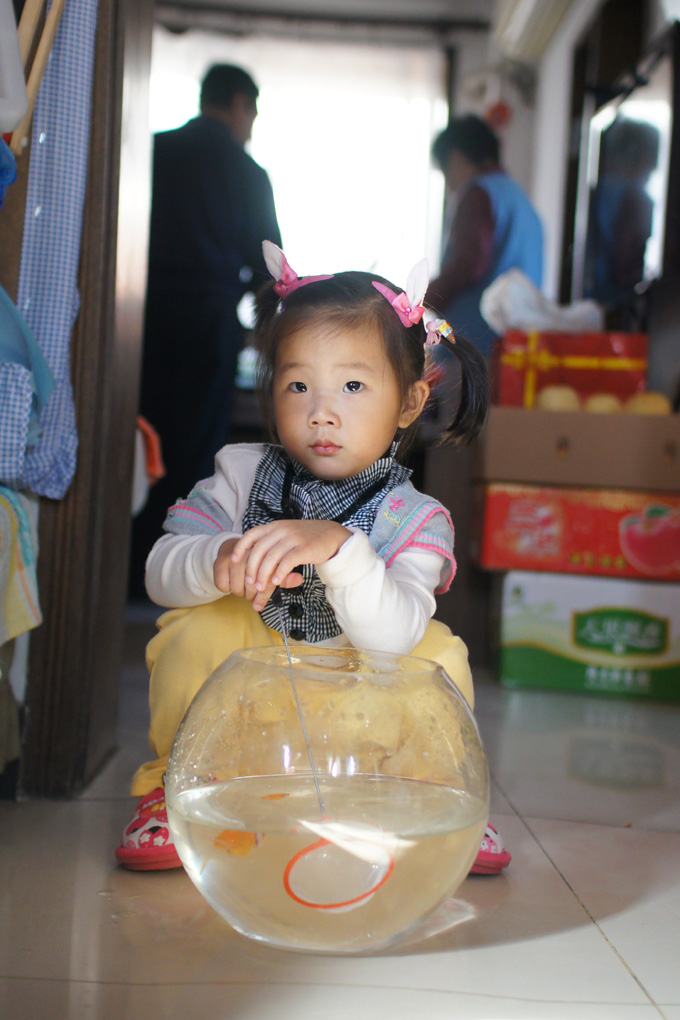 SONY DSC