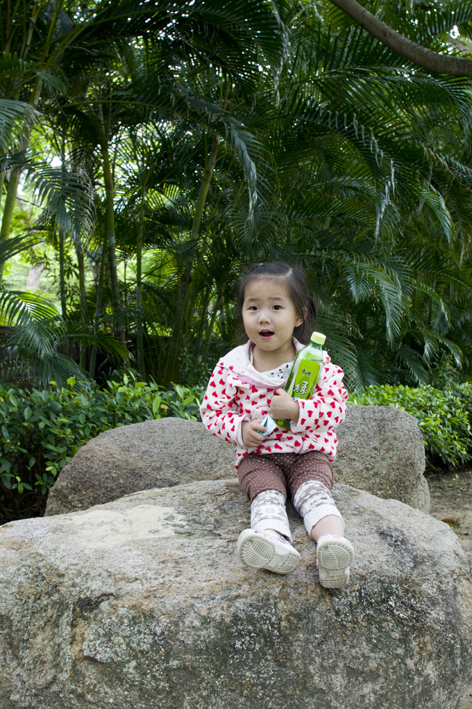 SONY DSC