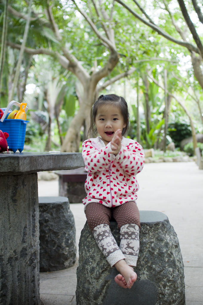 SONY DSC