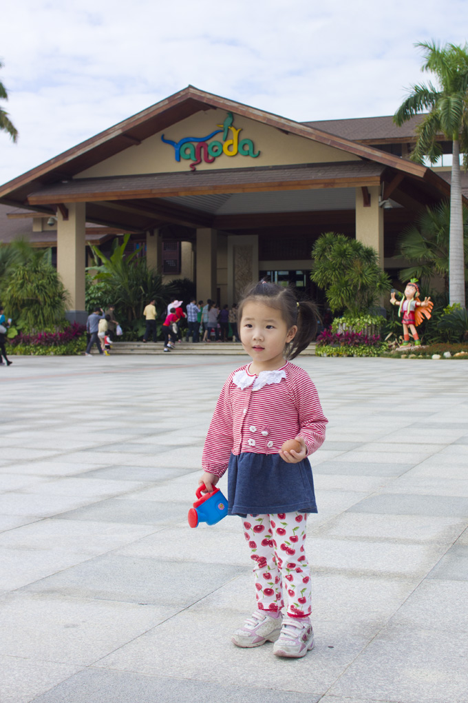SONY DSC