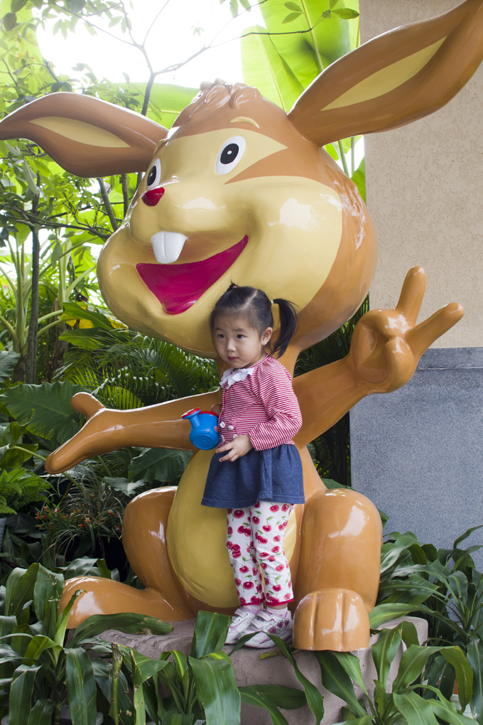 SONY DSC