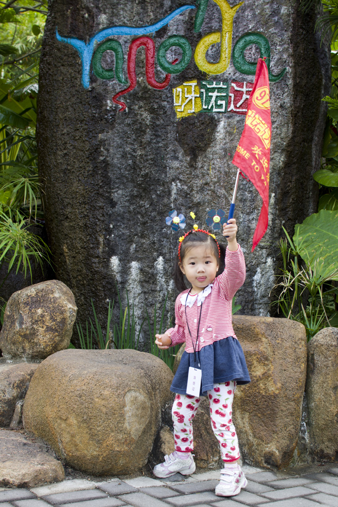 SONY DSC