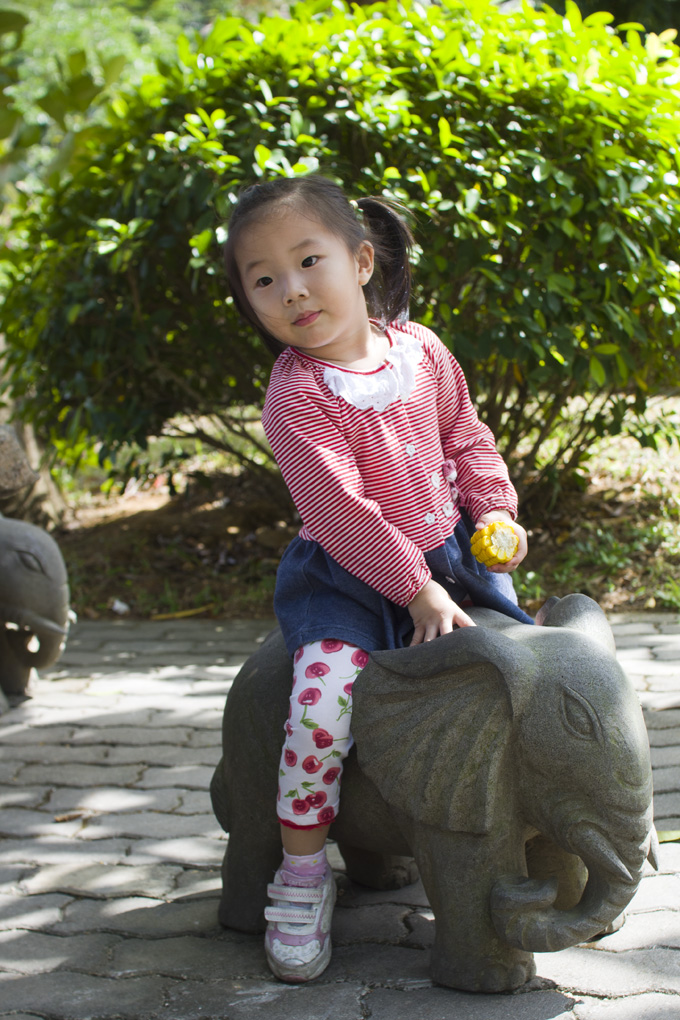 SONY DSC